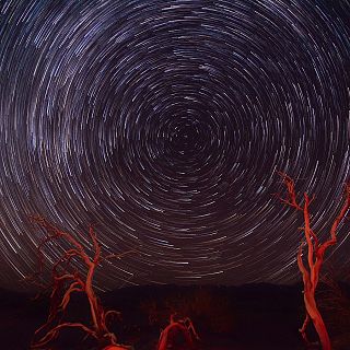 Ecos de la noche