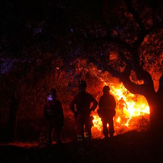 Óscar de Castro: "Estamos dándonos unas palizas increíbles"