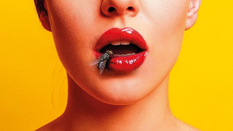 El clàssic cicle estival del CCCB ofereix una programació que s'endinsa en el cinema fantàstic i de terror per explorar els cànons estètics, connectant de forma íntima amb l'exposició d'actualitat del museu