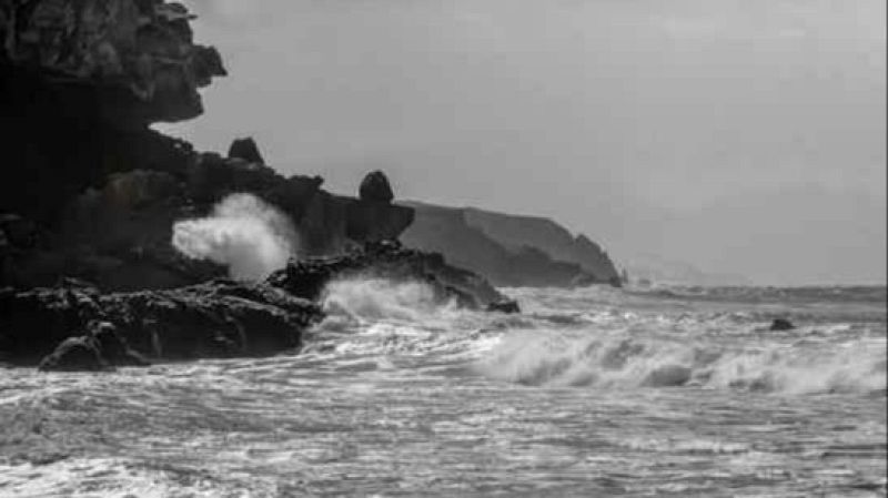 Atriles en los �rboles - Laberinto mar, de Noem� Sabugal - 28/07/26 - Atriles entre los �rboles | Escuchar