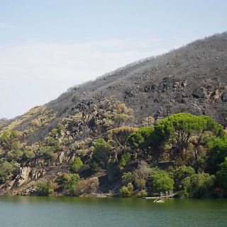 "Hay que ver una pol�tica forestal del futuro y no del pasado"