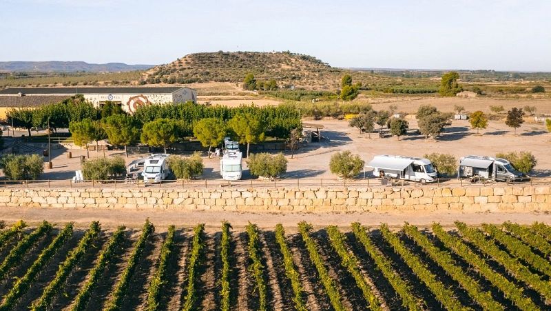 Centenars de persones s’han desplaçat a la ciutat aquest estiu per treballar a la fruita | Joana Sendra