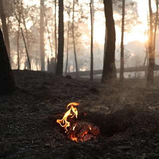 "Después de un incendio sigue habiendo muchas cosas que visitar"