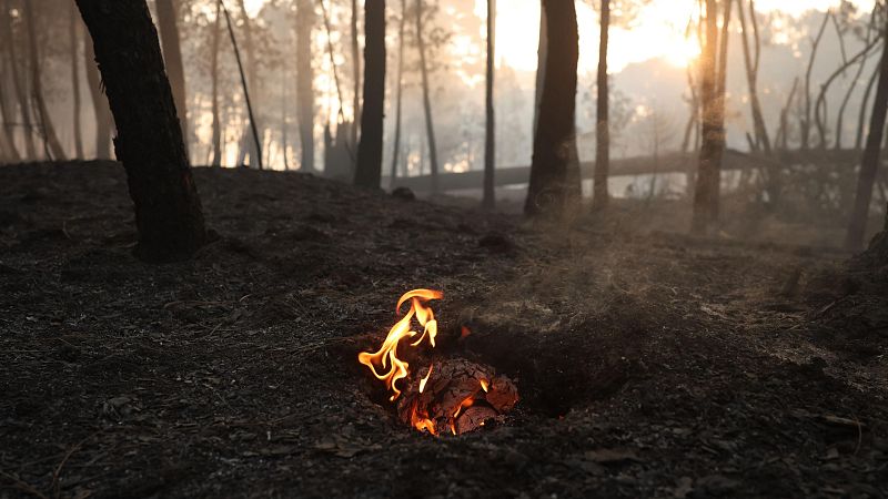"Después de un incendio sigue habiendo muchas cosas que visitar" - Las mañanas de RNE | Escuchar