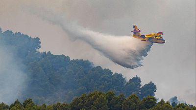 Los incendios, la Ley Antitabaco y las fiestas del verano