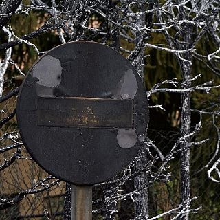 El Tiemblo, después del fuego