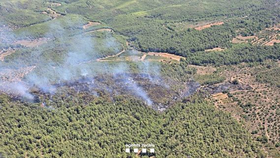 Estan preparades les assegurances per als incendis m�s virulents?
