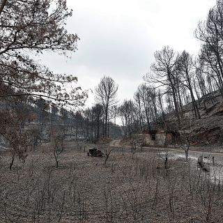 La responsabilidad penal de los incendios