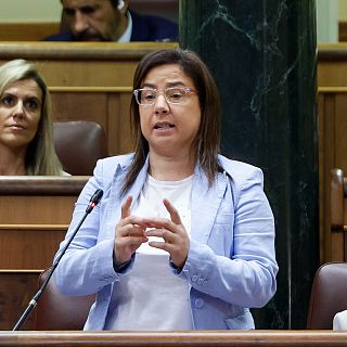"El Congreso no puede estar cerrado ante una crisis como la de Ceuta"