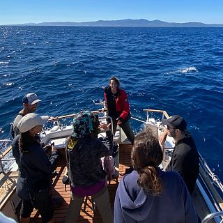 Algeciras - Proyecto de la UCA sobre los sonidos del fondo marino