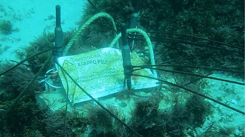 Reportajes Emisoras - Algeciras - Proyecto de la UCA sobre los sonidos del fondo marino - 11/08/26 - Escuchar ahora