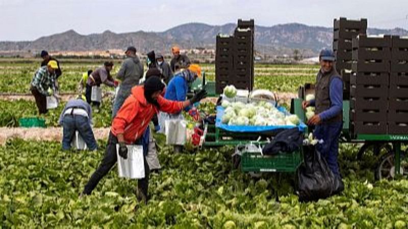 Mundo rural - Nuevas incorporaciones al campo gracias al proceso de regularización extraordinario - 07/08/26 - Escuchar ahora