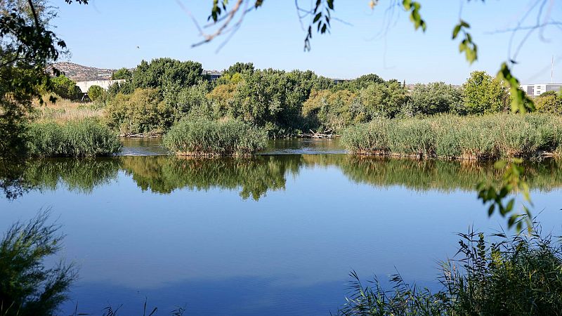 Aprobado un nuevo trasvase del Tajo al Segura - Castilla-La Mancha Informativos | Escuchar