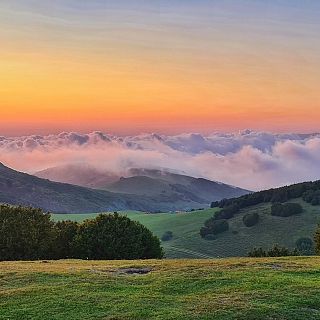 Paisaje bucólico