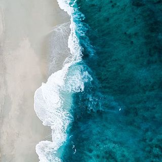 La plenitud de la naturaleza