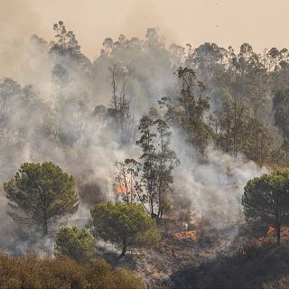 "Hay que preparar el territorio para que el fuego no genere estas situaciones"