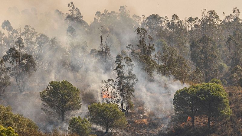 "Hay que preparar el territorio para que el fuego no genere estas situaciones" - Las mañanas de RNE | Escuchar