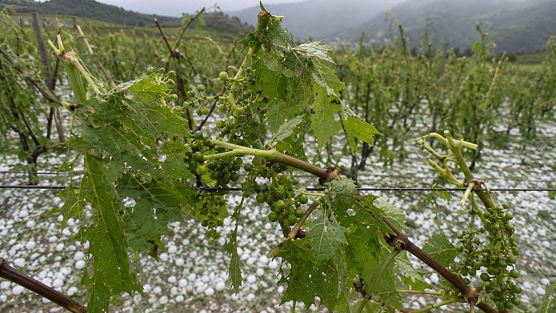 El temido granizo para el sector agrario vuelve a asomarse en las previsiones meteorológicas - Navarra Informativos | Escuchar