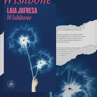 El color de los desaparecidos: Wishbone, de Laia Jufresa