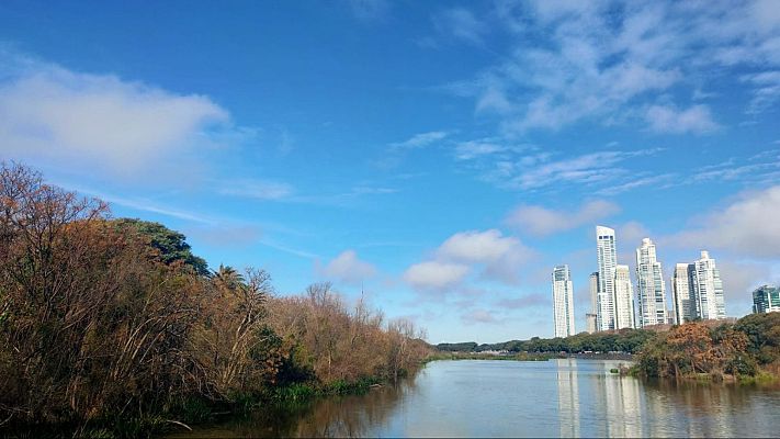 Ciudades para humanos y otras floras y faunas