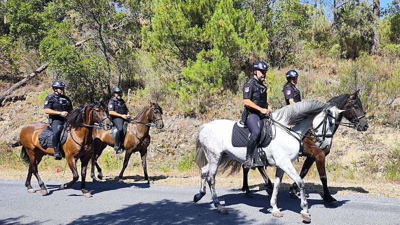 Reportajes Emisoras - Ourense - Operación Lumes de la Policía Nacional - 20/08/26 - Escuchar ahora