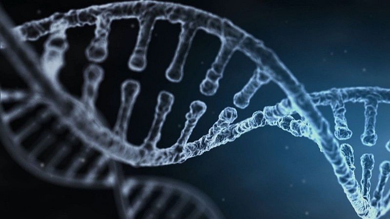 Un cáncer raro desvela pistas sobre cómo envejecemos - A golpe de bit | Escuchar