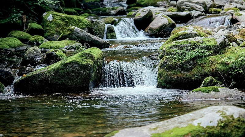 Reflejos en el agua I - El amor nunca desaparece - 17/08/26 - Reflejos en el agua | Escuchar