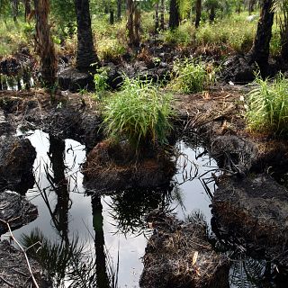 África hoy - Documentos secretos y contaminación en el delta del Níger - 17/08/26