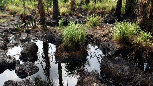 Documentos secretos y contaminaci�n en el delta del N�ger