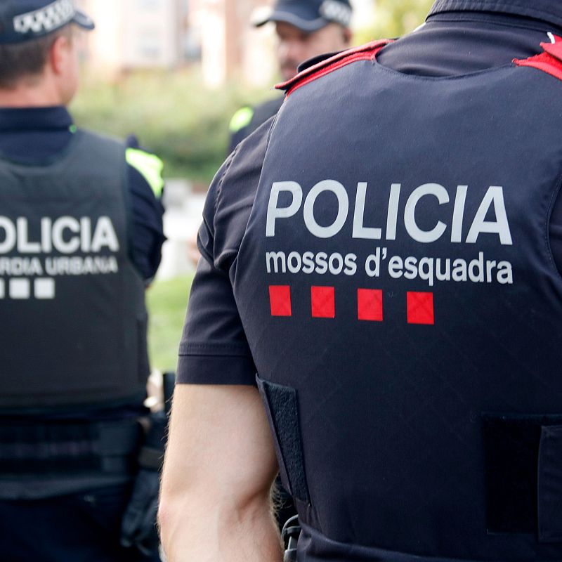 Detingudes 7 persones a Lleida per desordres a la manifestació al Parc de les Vies