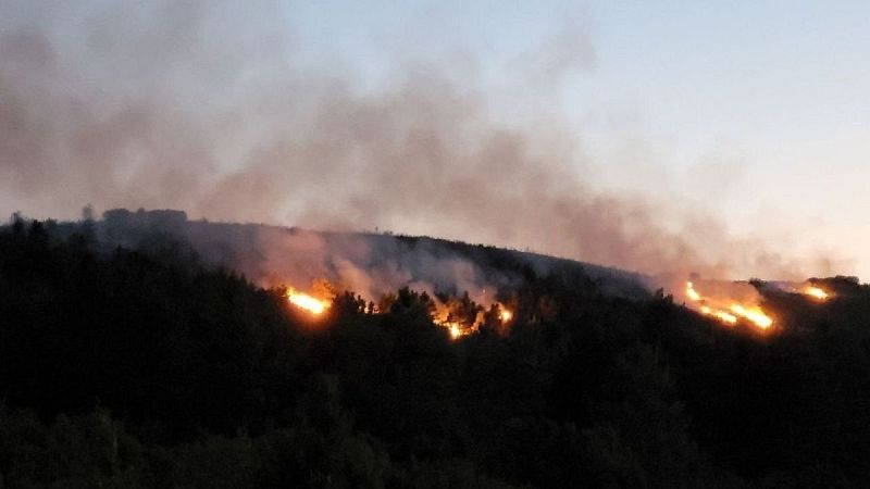 Greenpeace reclama un nou model de gestió forestal davant els incendis | Laura Hurtado