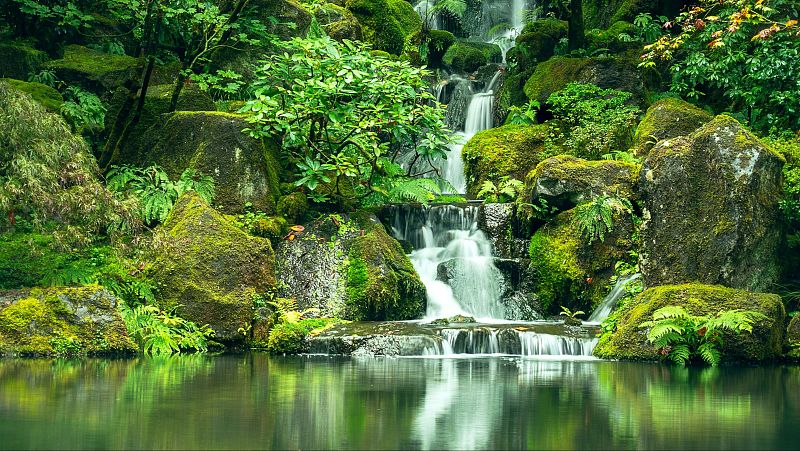 Reflejos en el agua I - La eternidad y un d�a - 21/08/26 - Reflejos en el agua | Escuchar