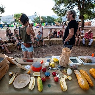 Rototom: Entrevista con Llavors d'ací
