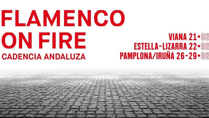 Navarra capitaliza un verano más el Flamenco con el "on Fire" 2026 - Navarra Informativos | Escuchar