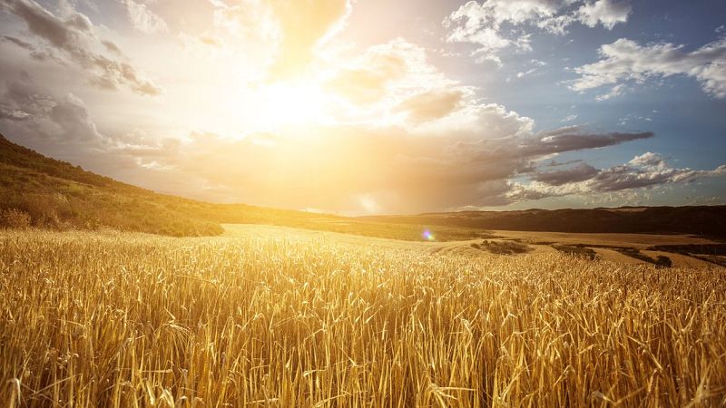 Fin de mes - El verano agosta el campo - Escuchar ahora