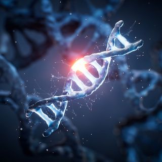 Las 'tijeras moleculares' que frenan la infecci�n del VIH