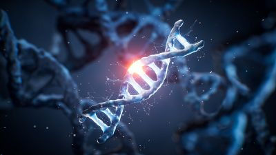 Las 'tijeras moleculares' que frenan la infección del VIH