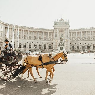 Albert Falcó: viatge a Viena