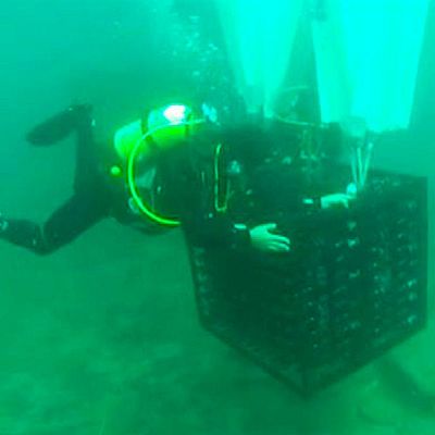 El vino que madura junto a tiburones y pulpos - Españoles en la mar