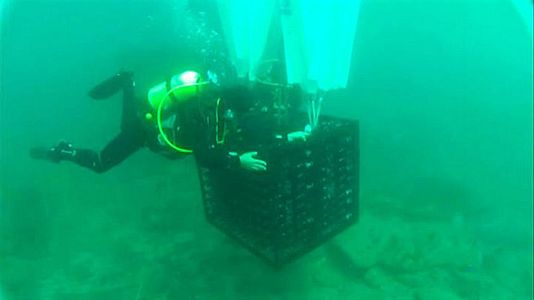 El vino que madura junto a tiburones y pulpos