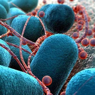 Materiales innovadores contra la resistencia bacteriana - A golpe de bit