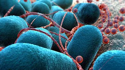 Materiales innovadores contra la resistencia bacteriana