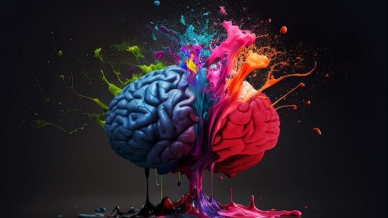 ¿Es el cerebro el que manda sobre la voluntad? ¿Tenemos libre albedrío?