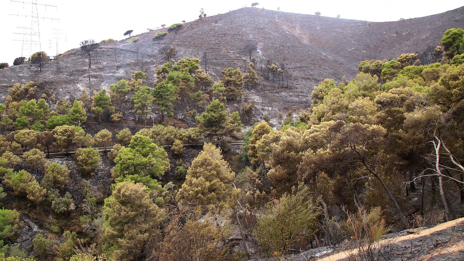 Veïns de Torre Baró reclamen més manteniment després del foc a Collserola | Escoltar