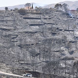 Almería - Incendio en Los Gallardos