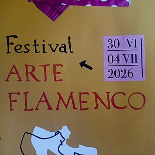 Arte Flamenco en Mont de Marsan (II)