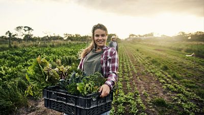 Mundo rural -  Edad y sexo de los perceptores de la PAC - 31/08/26 - Escuchar ahora