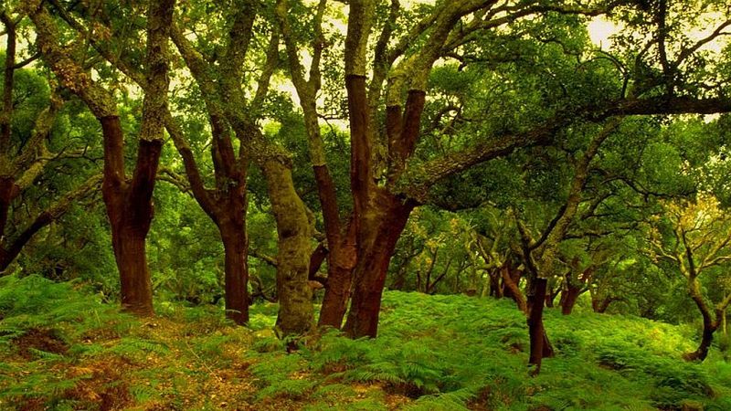 Escapadas - Espacios naturales únicos - 05/09/26 - Escuchar ahora