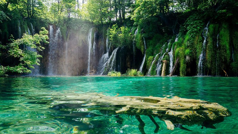 Reflejos en el agua I - Un impulso de alegr�a - 01/09/26 - Reflejos en el agua