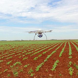 Agricultura de precisión y tecnología para cada árbol